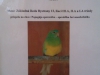Adopcia papagája -3.A, 2.A, 1.A